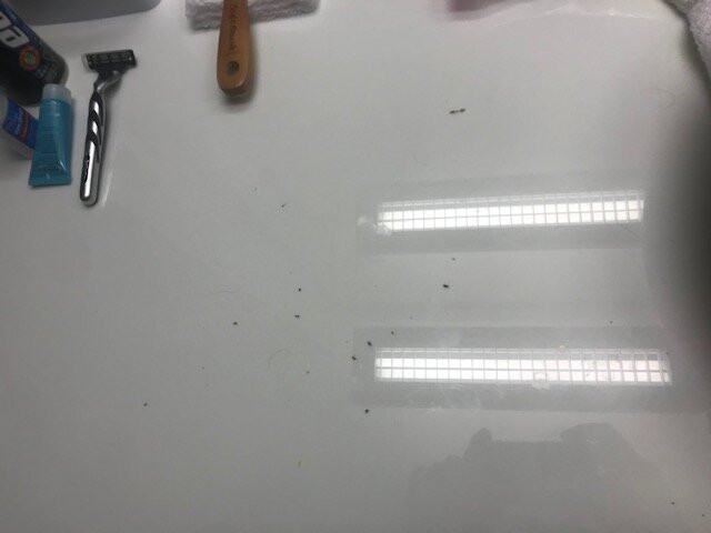 杜勒斯机场北雅乐轩酒店主图