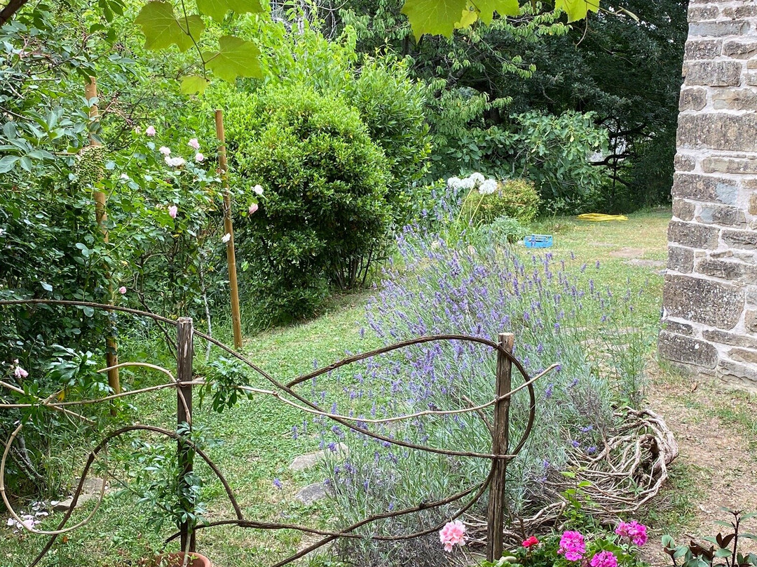 Ca' Paravento B&B e Country House主图