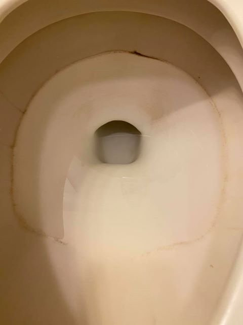 Pine Grove Resort主图