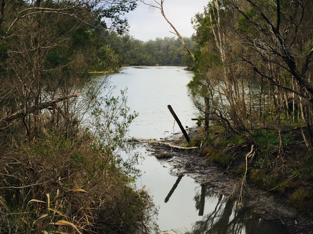 Wetlands Walk景点图片
