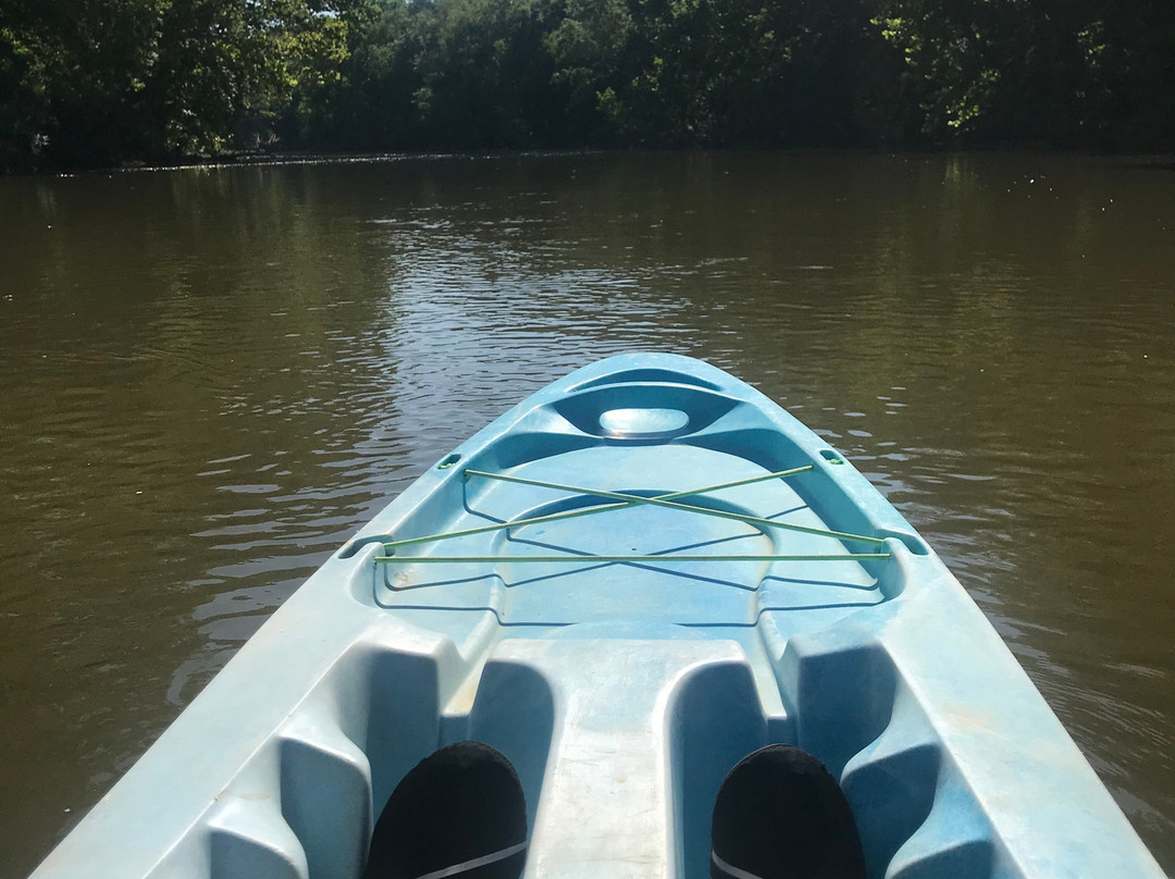 The River Rat's Canoe Rental景点图片