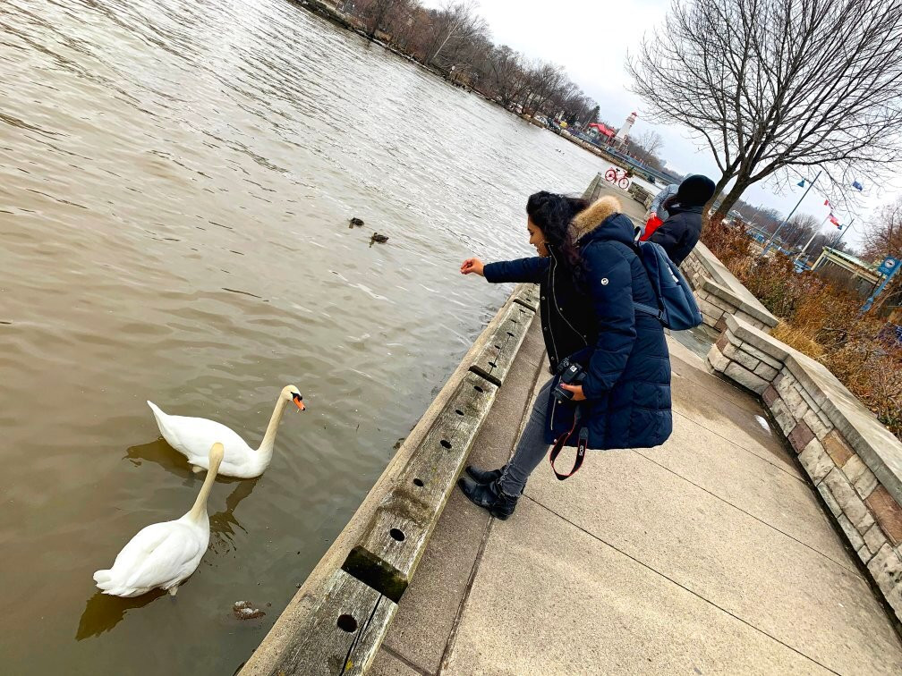 Port Credit-米西索加必去景点