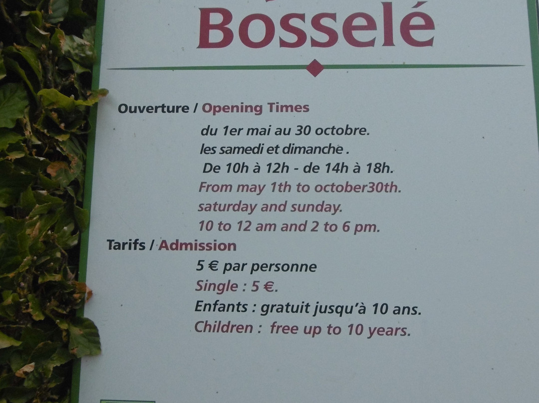 Le Jardin Bosselé景点图片