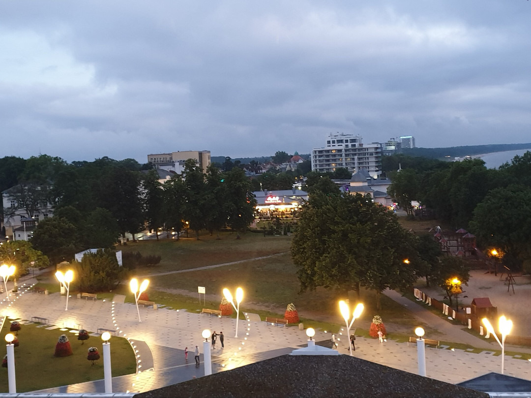 维也纳国际主图