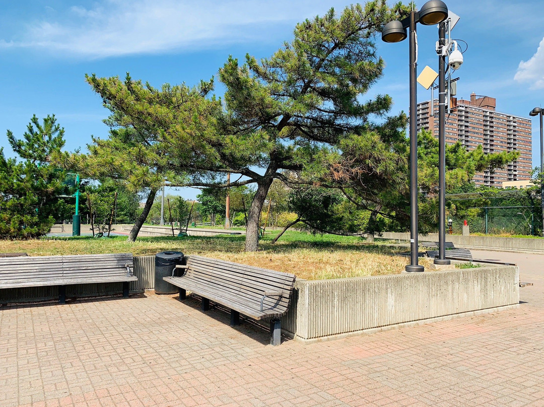 河岸州立公园景点图片