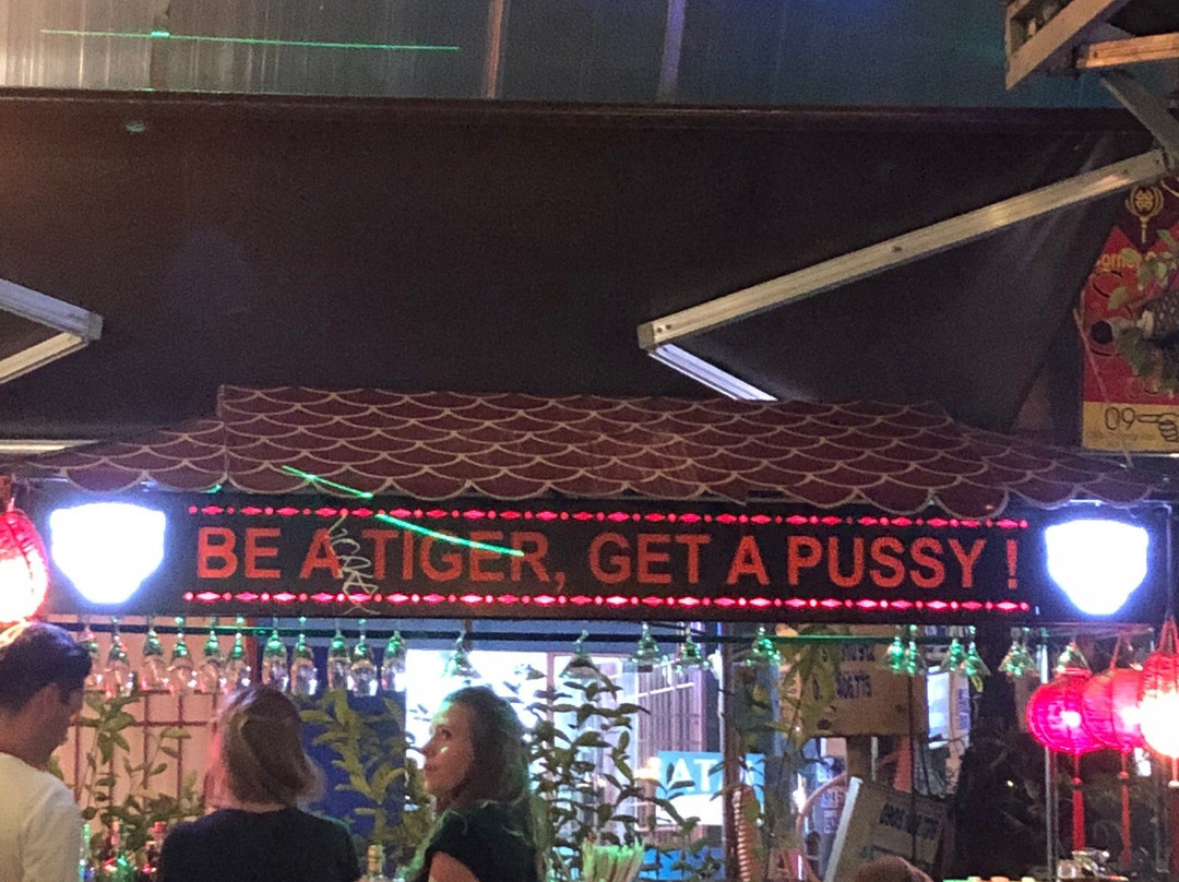 King Tiger Tiger Bar-会安必去景点