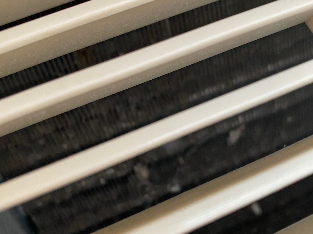 比亚韦斯托克格莱毕维基酒店主图