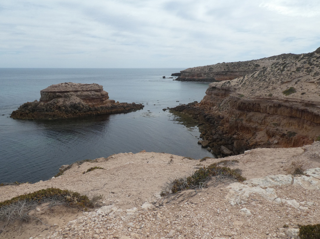Cape Bauer Loop Drive-Streaky Bay必去景点