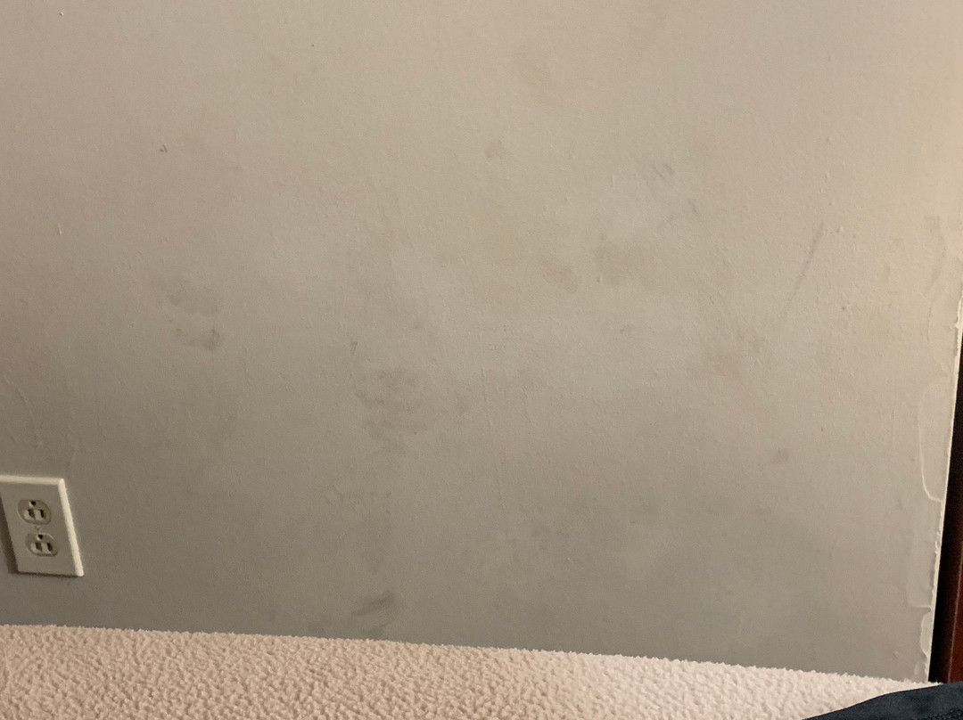 Econo Lodge Hermitage主图