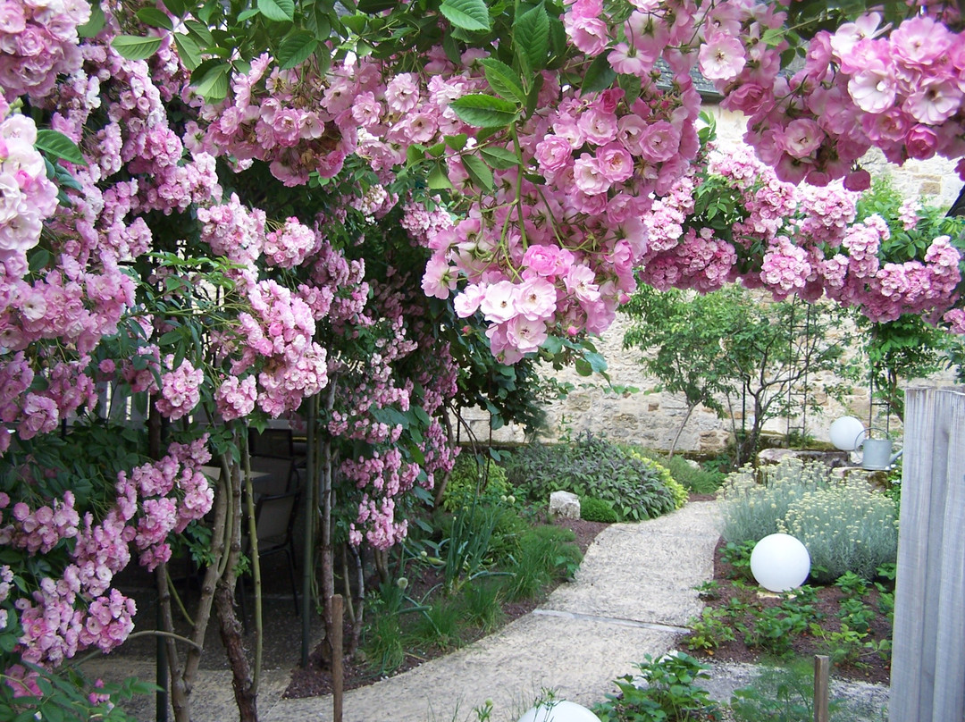 La Maison des Chanoines主图