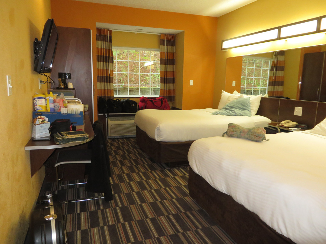 普林斯顿麦克罗特客栈&套房酒店主图