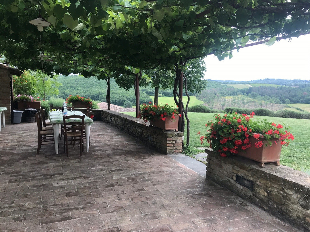 La Valle degli Alpaca Farm景点图片