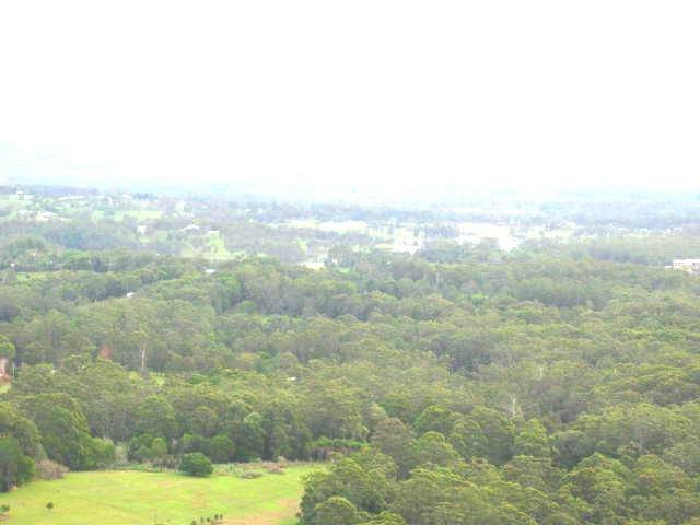 Mount Tinbeerwah-努沙必去景点
