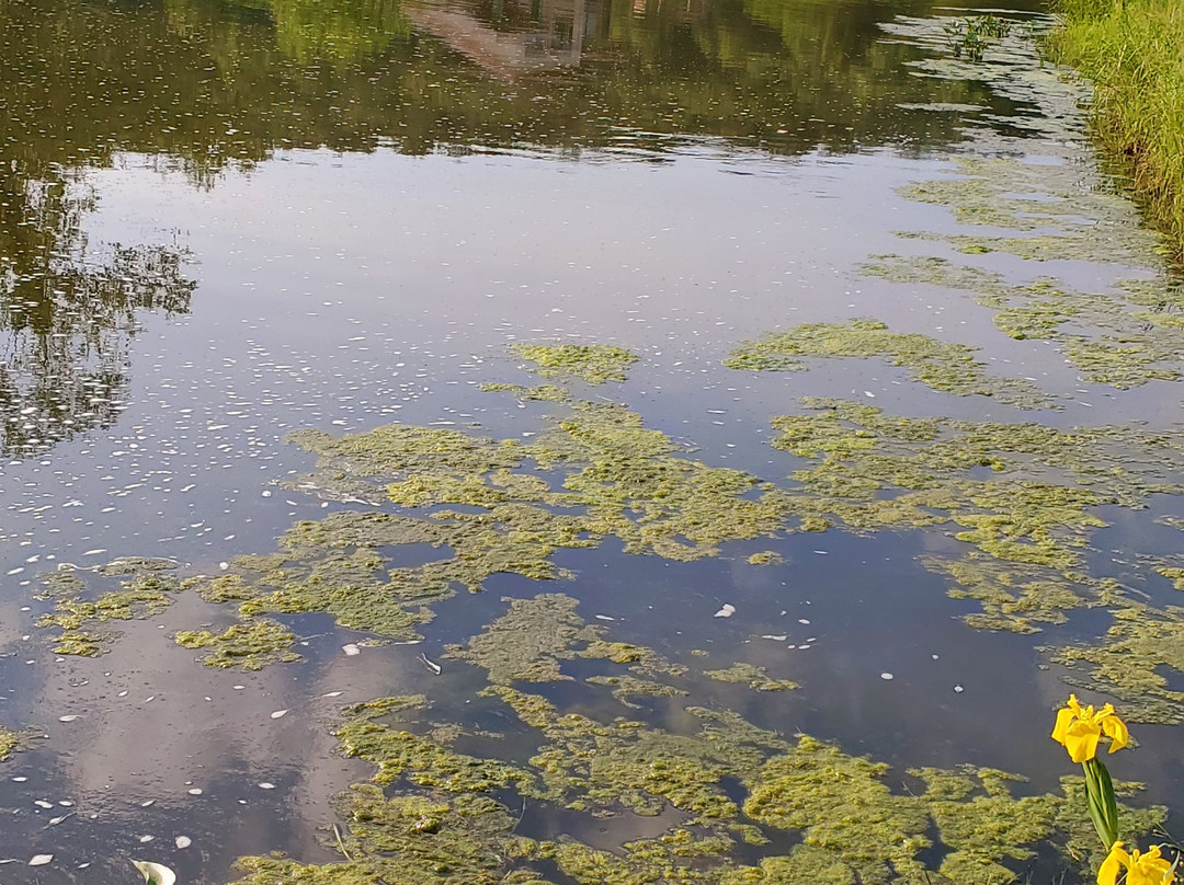 Golf at Old Kinderhook-Camdenton必去景点