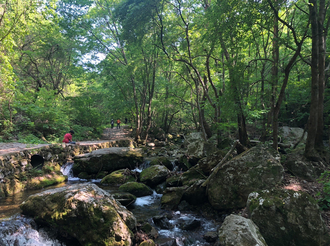 Chiaksan National Park-原州市必去景点