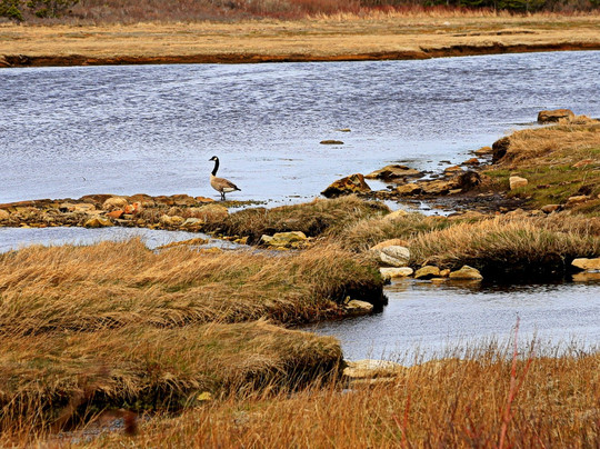 Chapel Gully Trail-Canso必去景点
