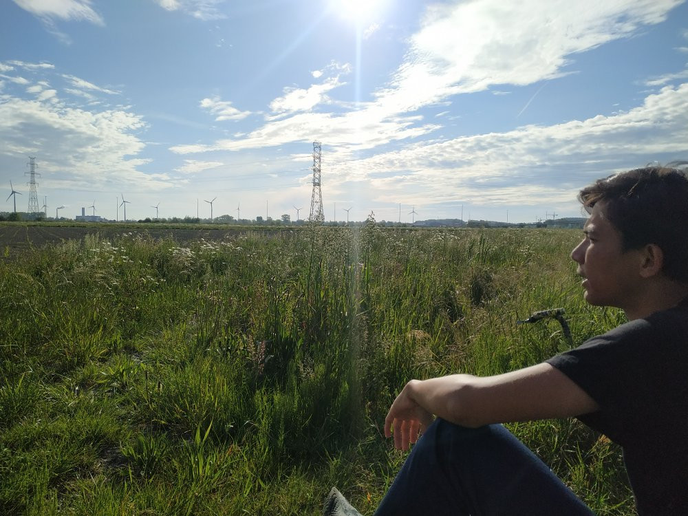 Uitkerkse Polder-布朗肯堡必去景点