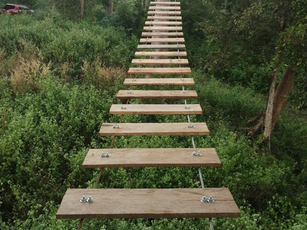 Fandee Adventure Park - Ziplines and Monkey Bridges - Tad Lo, Bolaven Loop Pakse景点图片