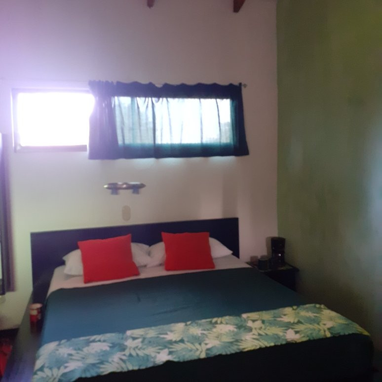 Hotel Boutique La Casa De Las Flores主图