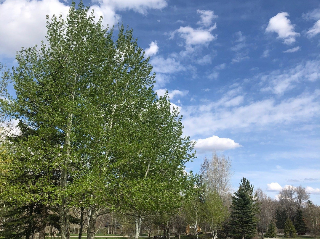 Aspen Grove Inn at Heise Bridge主图