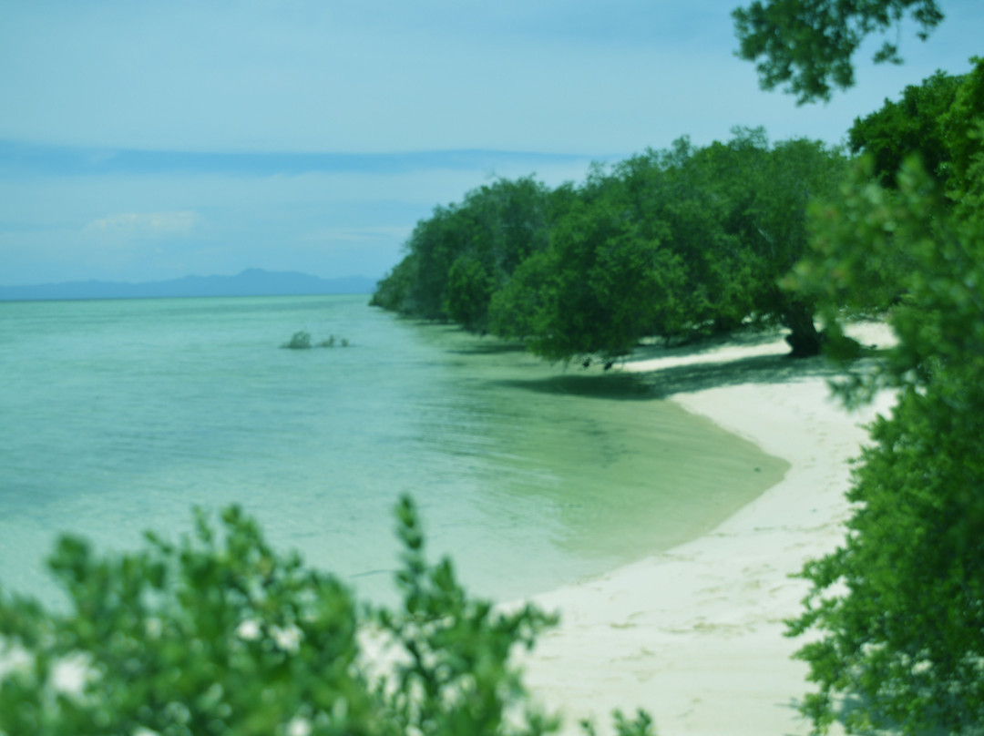 Kassa Island景点图片