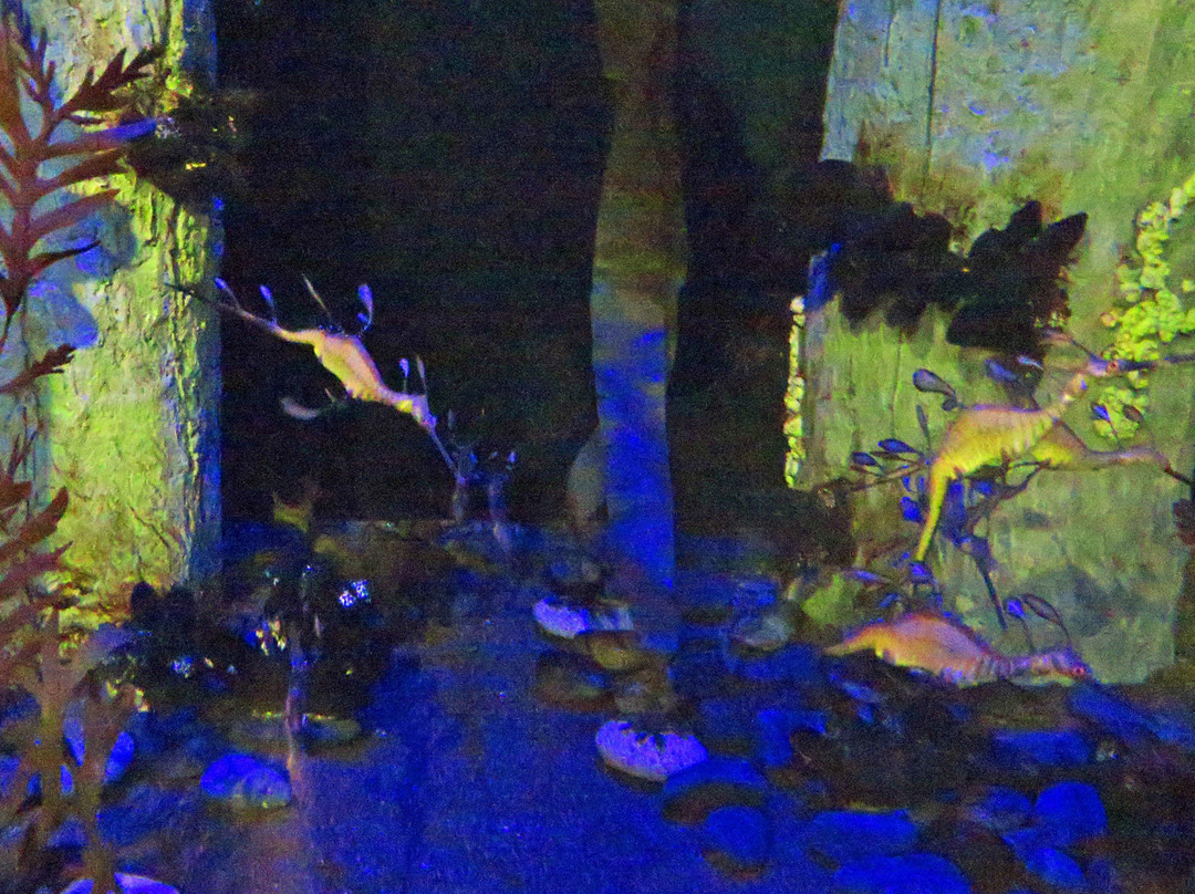 Diamond Head Luau-火奴鲁鲁必去景点