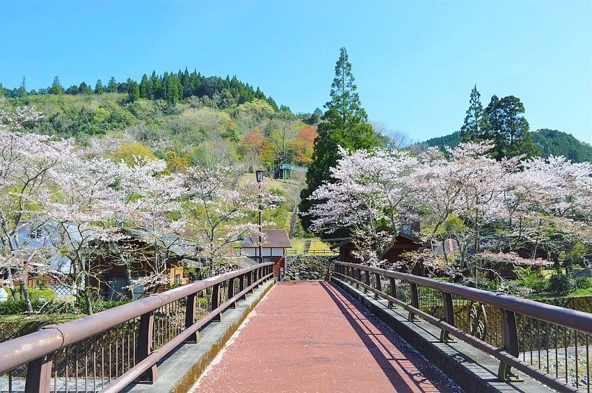 Naokawa Ikoi no Mori Park-佐伯市必去景点