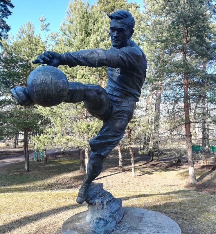 Monument to Vsevolod Bobrov景点图片