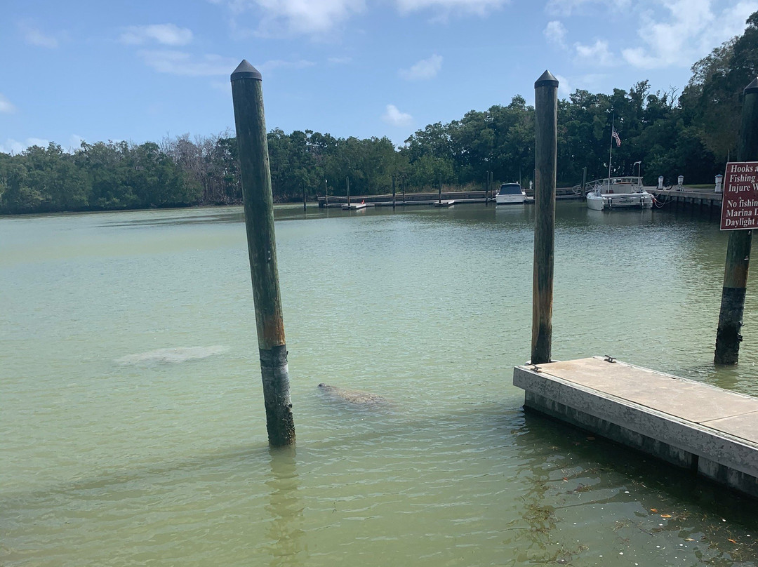 Flamingo Visitor Center-大沼泽国家公园必去景点