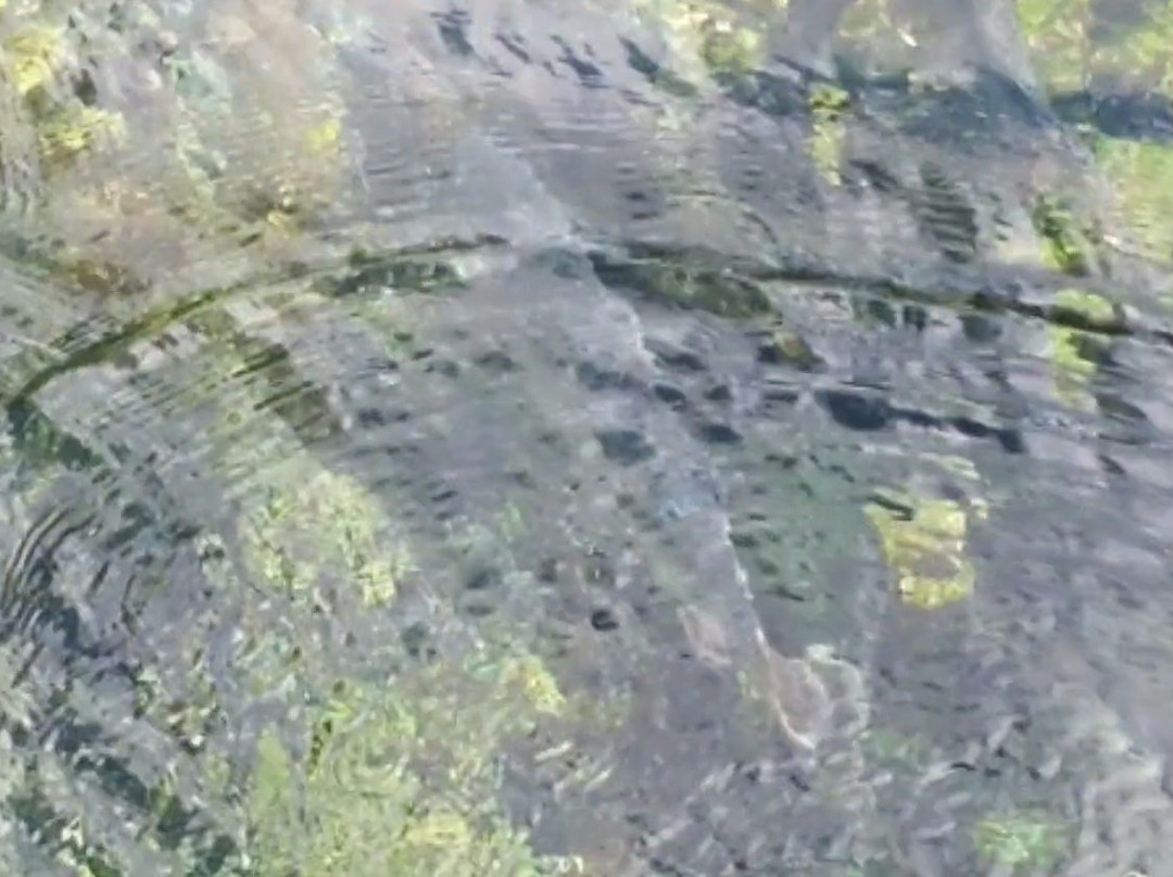 Big Springs-艾兰帕克必去景点