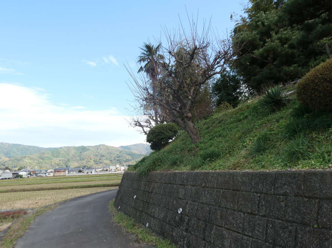 Makimuku Old Tomb-樱井市必去景点
