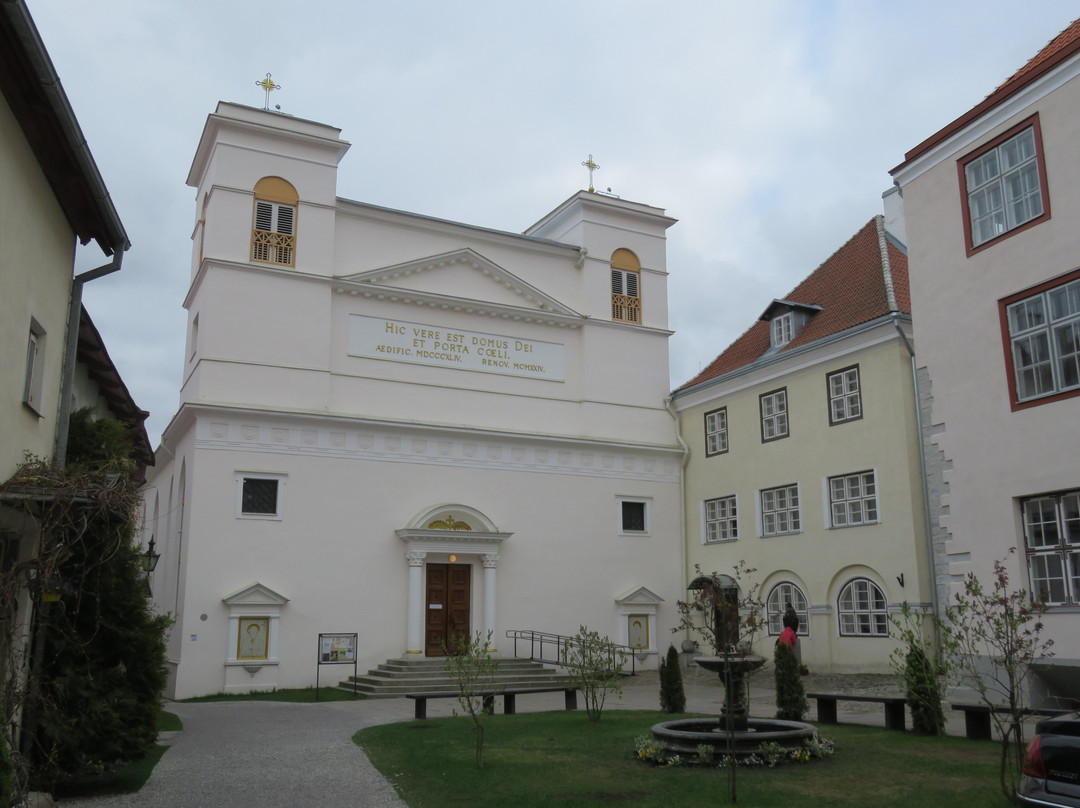 Catholic Cathedral of St Peter & St Paul-塔林必去景点