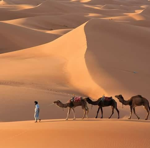 Camp Bivouac Hassi Samra主图