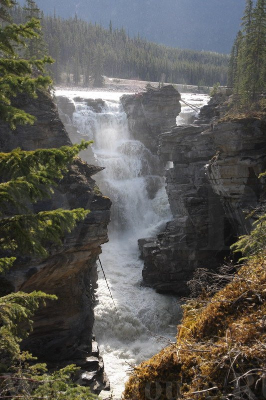 阿萨巴斯卡瀑布观景点-贾斯珀必去景点