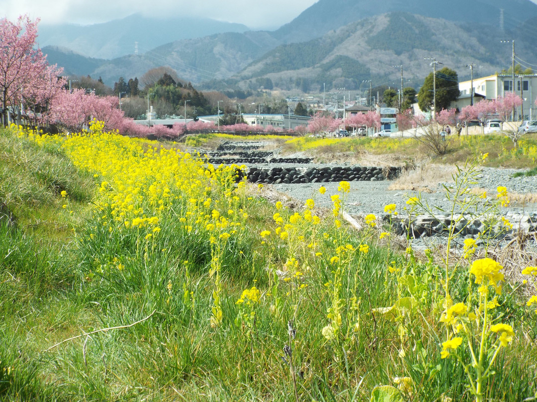 Mizunashi River-秦野市必去景点