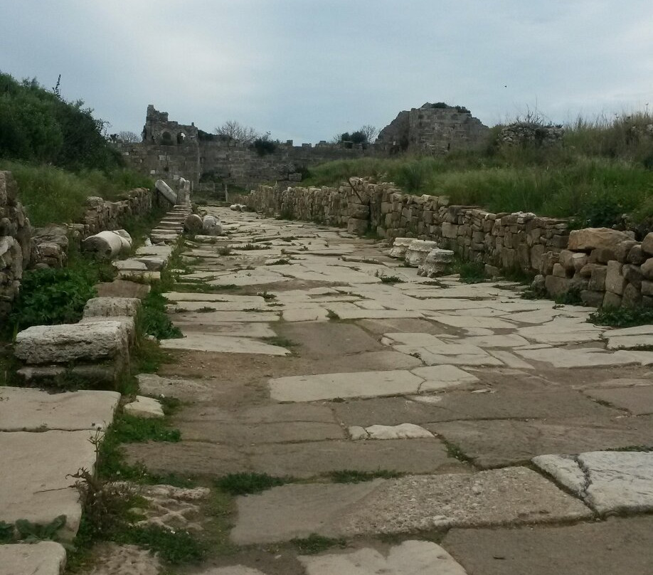 The Temple of Apollo景点图片