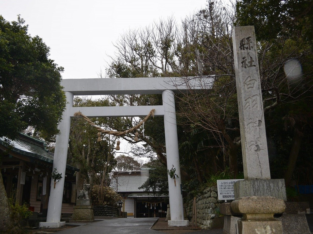 Shirowa Shrine景点图片