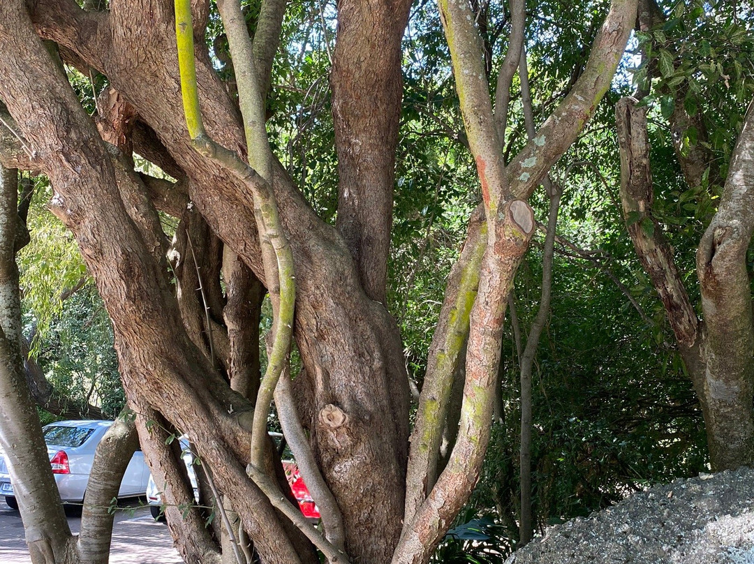 Eagles Nest Guesthouse主图