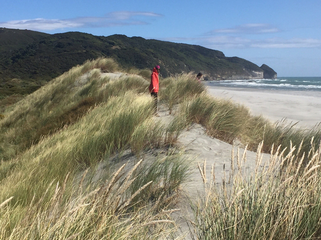 Farewell Spit and Puponga Farm Park Tracks景点图片