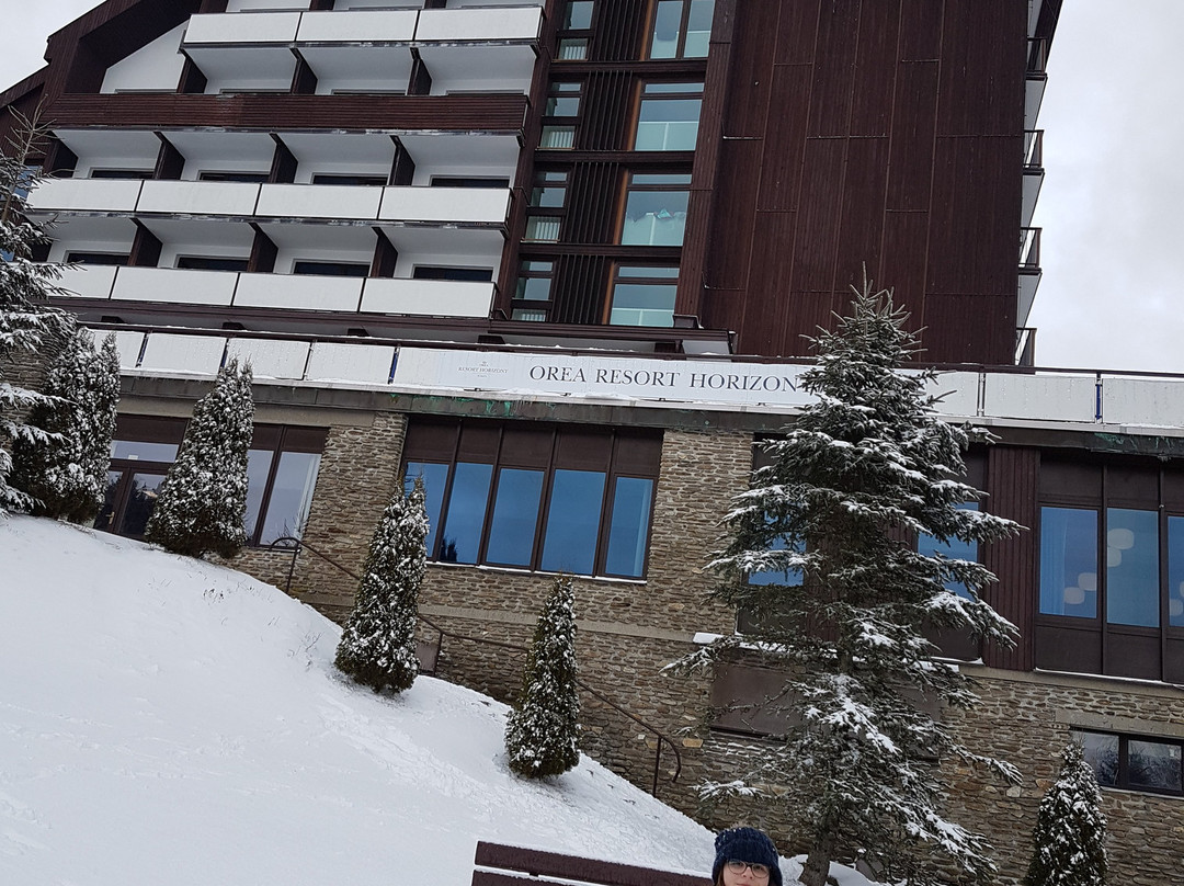 OREA Resort Horizont Sumava主图