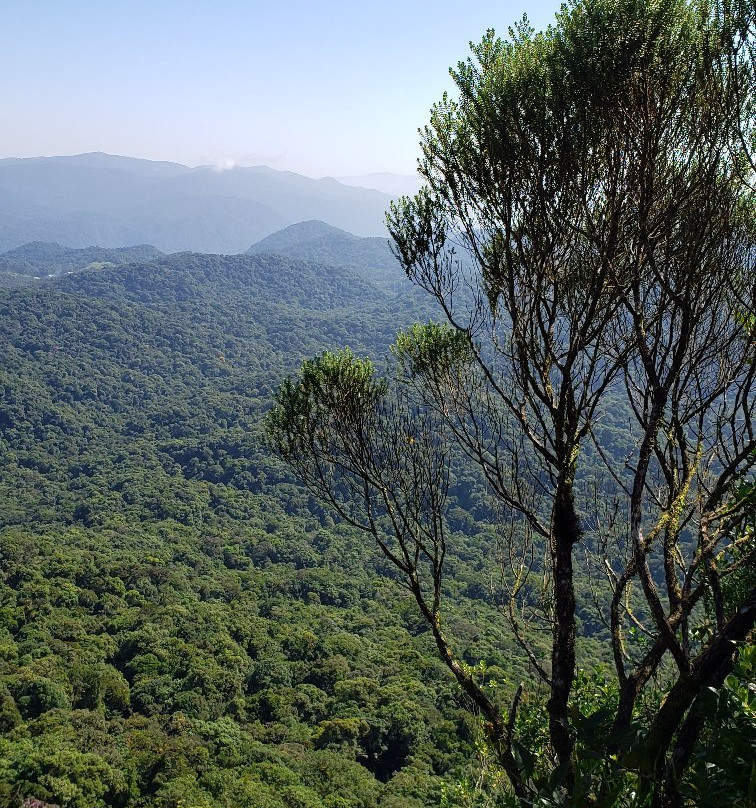 Castelo dos Bugres-Joinville必去景点