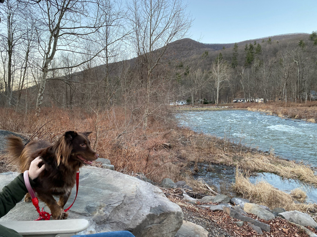 Emerson Resort & Spa主图