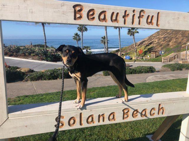 Fletcher Cove Park-索拉纳海滩必去景点