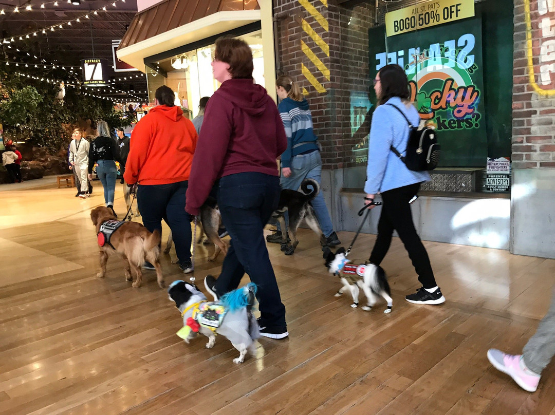 Great Lakes Crossing Outlets-奥本山必去景点