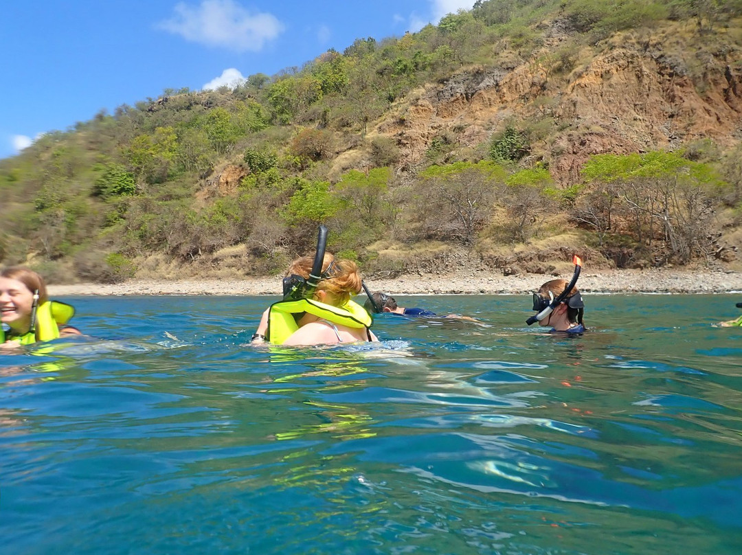 Scuba Montserrat-Little Bay必去景点