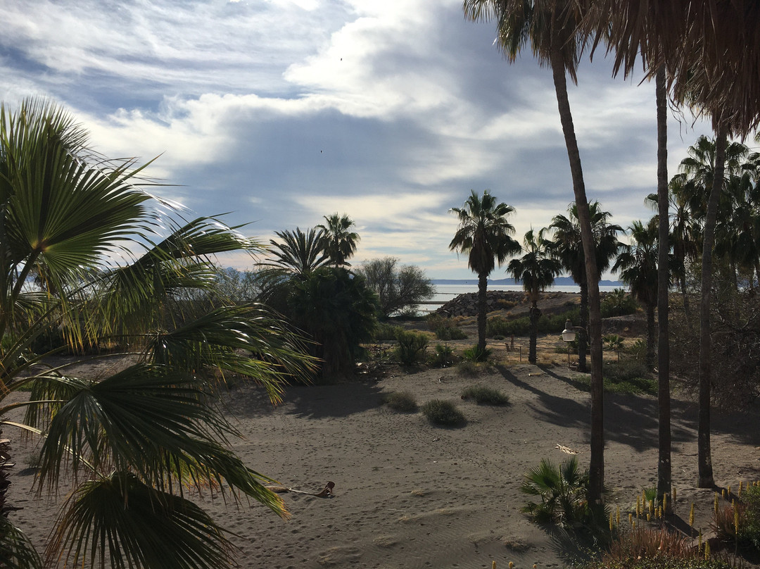 Hotel Oasis Loreto主图