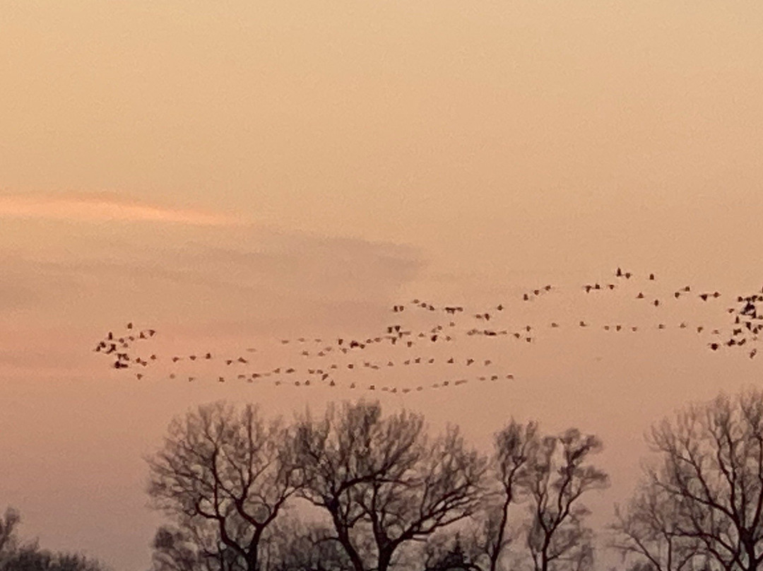 Audubon's Rowe Sanctuary-Gibbon必去景点