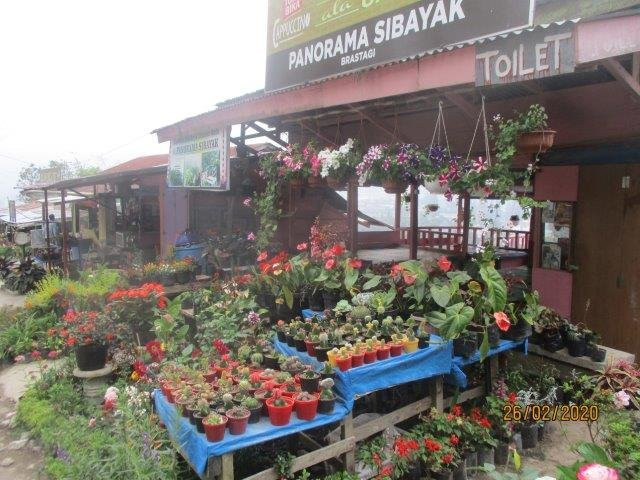 Gundaling Hill-不拉士打宜必去景点