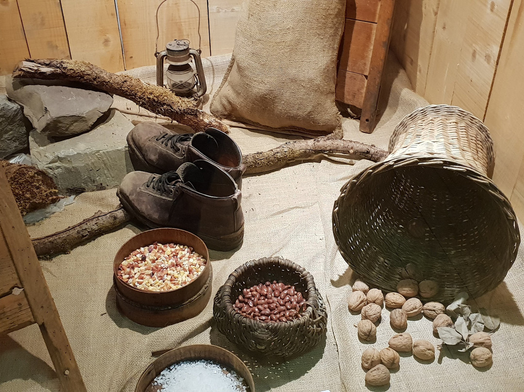 Centro Etnografico Haus van der Zahre-Sauris必去景点