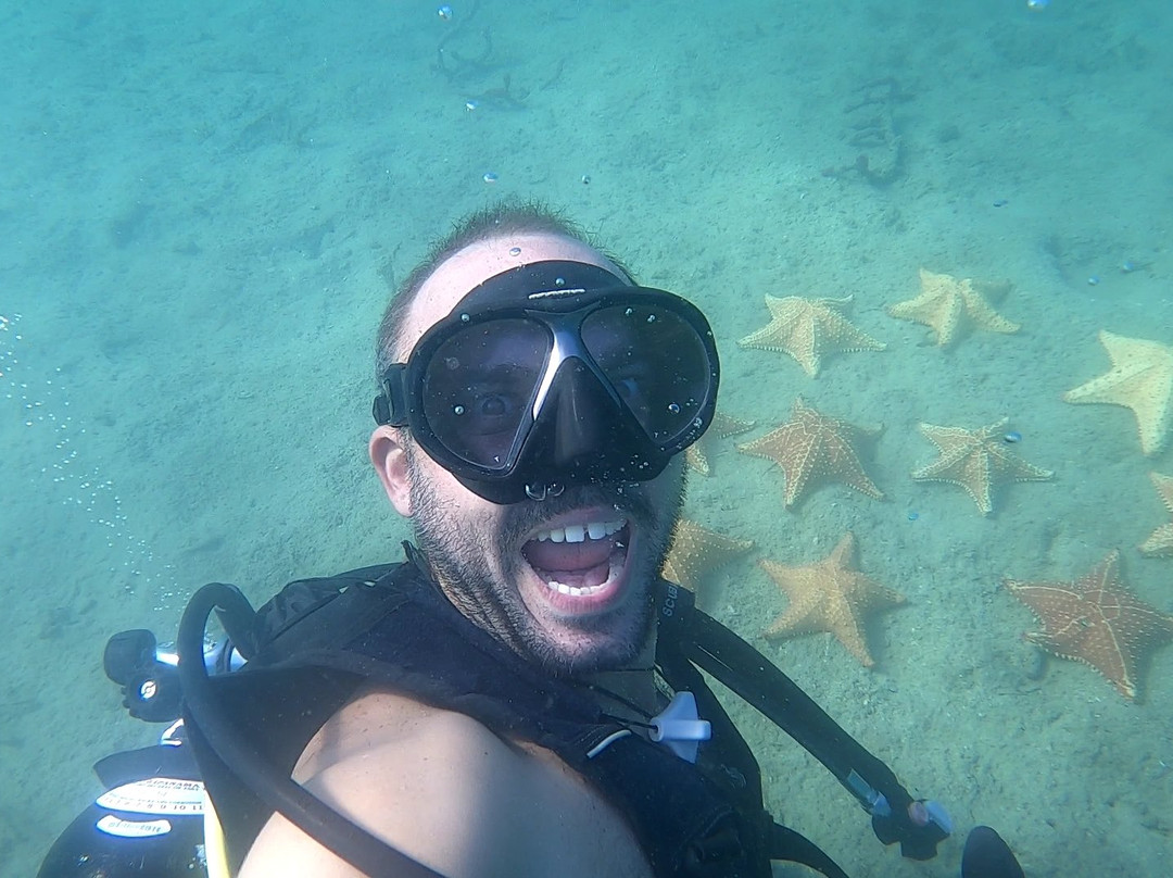 Starfish Diving Bocas景点图片